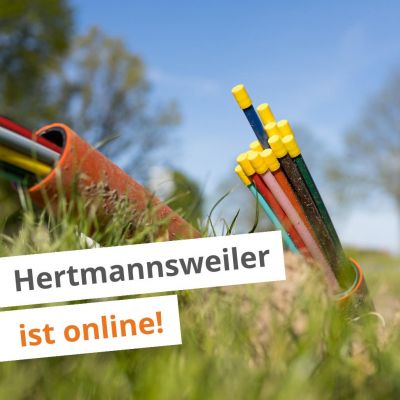 Hertmannsweiler ist online. Baustart für weitere Adressen ist Ende April.